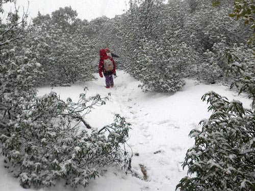 Caminando en la nieve